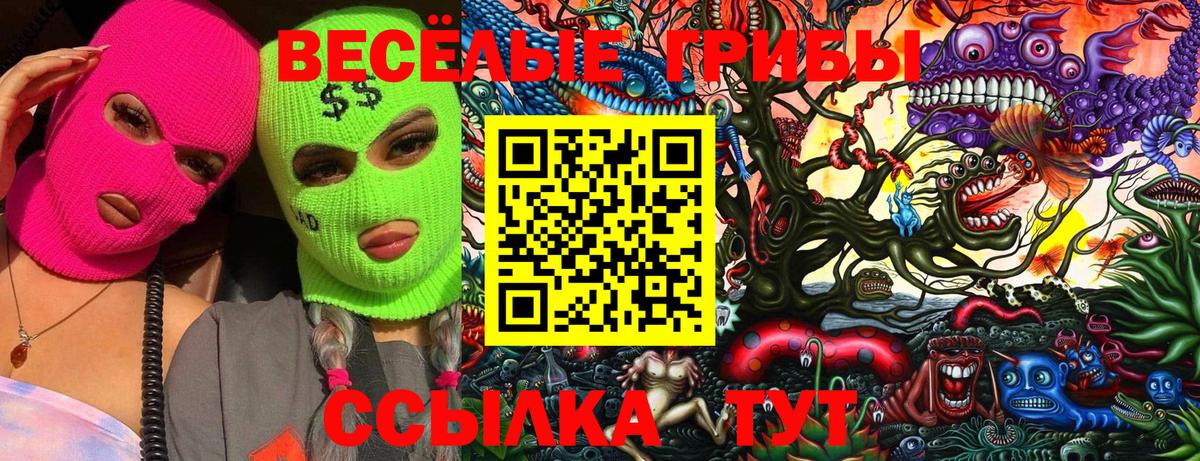 Галлюциногенные грибы Magic Shrooms Аргун