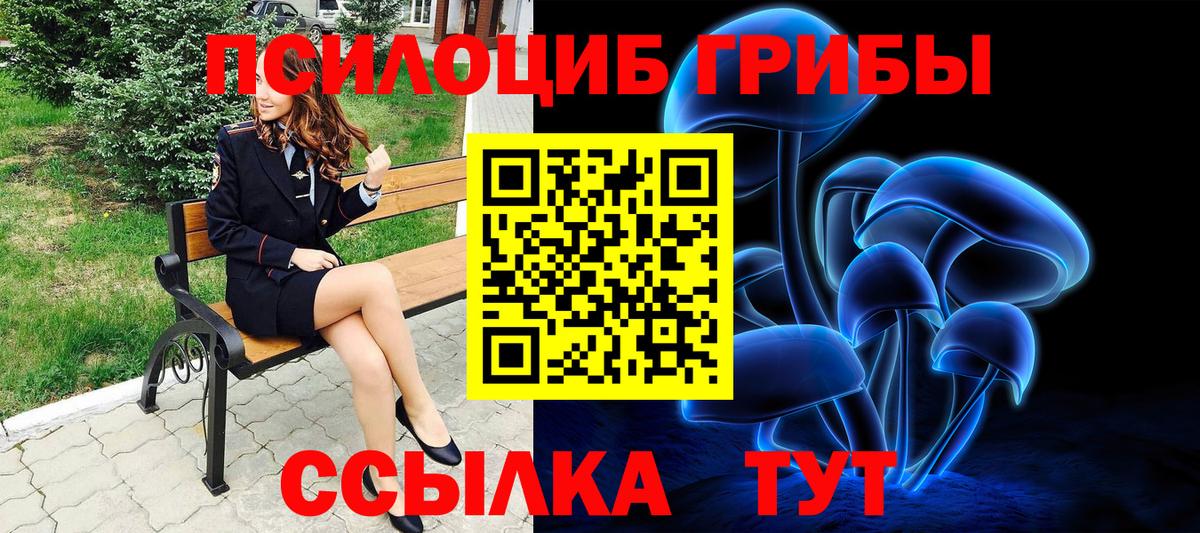 Аргун  где купить   Вход с VPN  Галлюциногенные грибы GOLDEN TEACHER 
