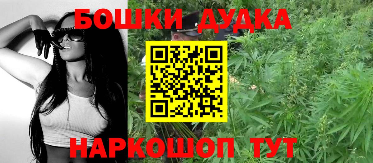 Бошки Шишки сатива Аргун